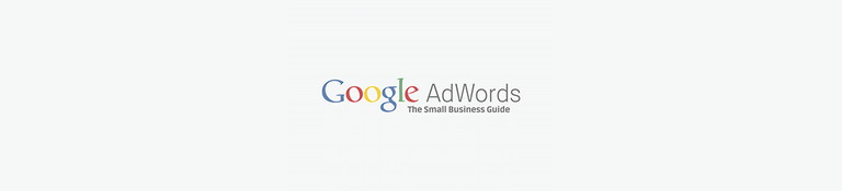 指导Google Adwords.